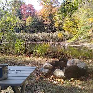 Hot coffee, blazing fall colors.