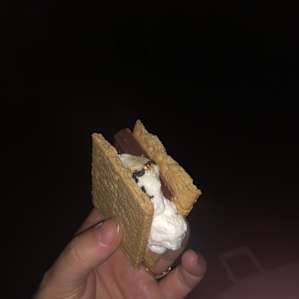 SMORES!!!