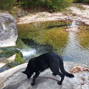 The Exceptional Spot