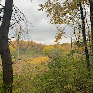 Pine Creek Campsite (Hilltop)
