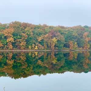 Beautiful fall colors