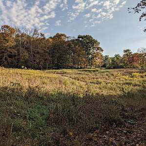 Organic Farm in the Pocono Mts.