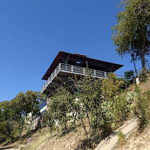 Bird’s Nest on the Guadalupe