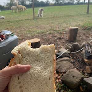 Lunch with a view
