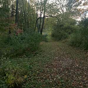 Well maintained trail on the property