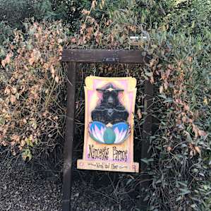 Treehouse on Working Sheep Farm