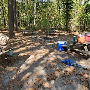 Wide open common area with plenty of picnic tables.