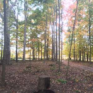 Tent site #4