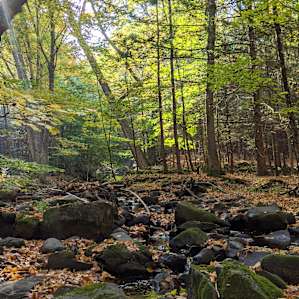Beaver's Brook at Blossom Dell