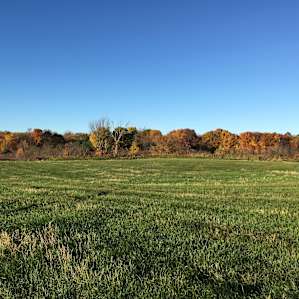 Looking across field on top.