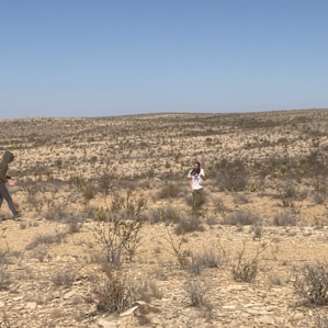 Plenty of room to explore, play frisbee (don’t step on the plants!) walk the dogs (wait till the cooler hours!) and to see rocks/plants/wildlife