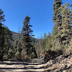 Really rough road coming up, the photo doesn't capture how brutal it is.