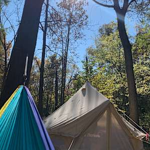 McCully bell tent glampsite