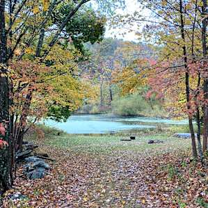 Organic Farm in the Pocono Mts.