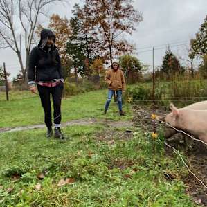 Organic Farm in the Pocono Mts.