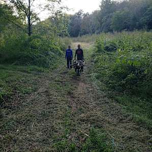 Collecting some starter fire wood from the on-site hiking trails