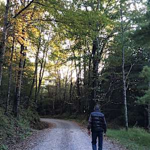 Road to cabin