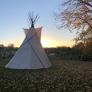 Waking up to a lovely sunset and a pasture full of horses.