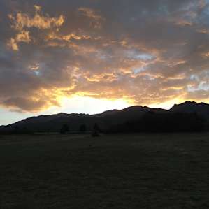 Hummingbird Ranch
