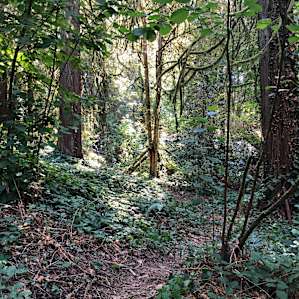 Secret Sanctuary