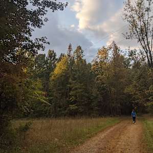 morning stroll around the farm