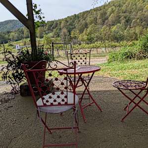 Mountain Cove Vineyards