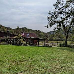 Mountain Cove Vineyards