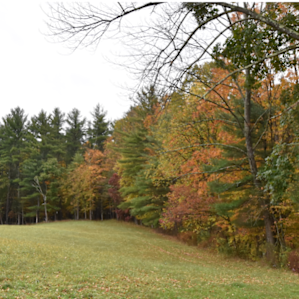 A partial view of one of the many fields his farm is spread across.