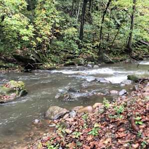 Annie’s Pork-N-Beans Campground