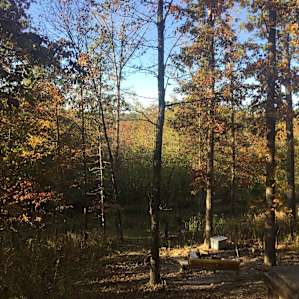 ItzaWayzBack Farm- Dogwood Cabin