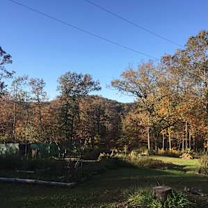 ItzaWayzBack Farm- Dogwood Cabin