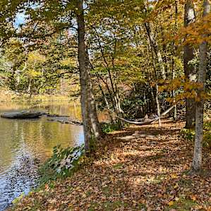 Neversink Sanctuary