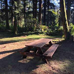Lost Coast Adventure Camp