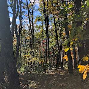 Lost River Forest, Almost Heaven