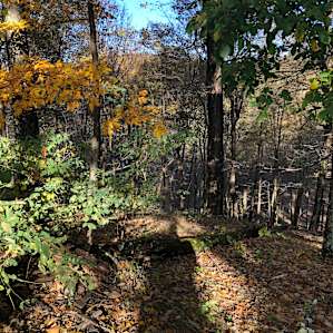 Lost River Forest, Almost Heaven