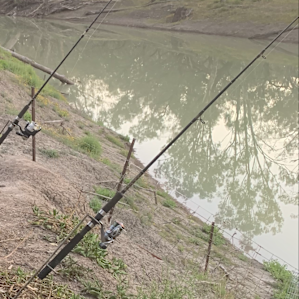 Great fishing right on the Barwon river