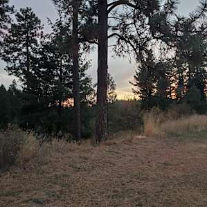 Sunset at Jim's Tree Farm
