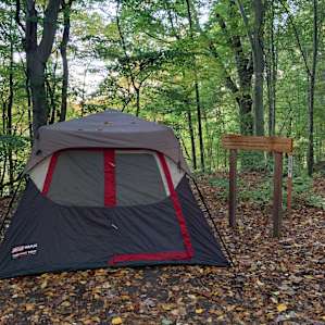 Thornhill Bluff