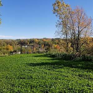 hilltop site
