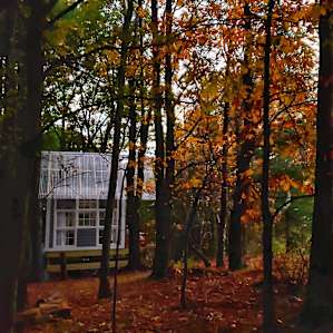 Runamuk Farm Bedroom in the Woods