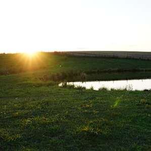 CF Ranch and Cattle Company