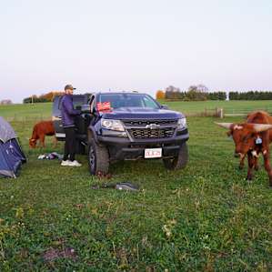 CF Ranch and Cattle Company