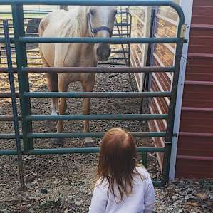 Coppergate Ranch