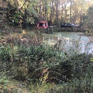 View from across the little pond.