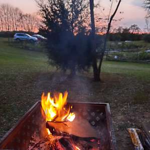 Little Fern Guest Cabin