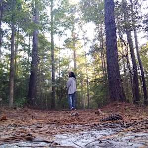Sandy Pines Campgrounds