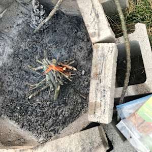 Plenty of kindling to get fire going.