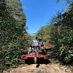 Brooks packed in our gear with the tractor!