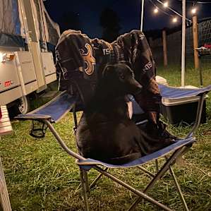Our dog was EXHAUSTED after playing all day.
