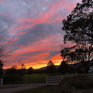 Several nights of gorgeous sunsets!